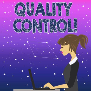 El yazısı metin kalite kontrolü. Genç meşgul kadın oturma yan görünüm ve onu laptop üzerinde çalışma Analysis, ürünler fotoğraf standartları korumak kavramı anlam sistemi.