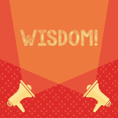 Kelime yazma metin bilgelik. Kalite deneyimi bilgi ve iyi bir karar için iş kavramı bir şey boş çift Spotlight yukarı Iki Megaphones yukarı yerde crisscrossing.