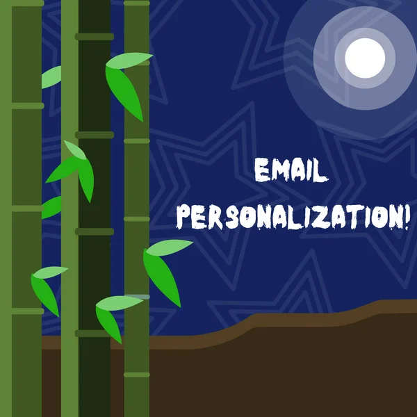 Text sign showing Email Personalization. Conceptual photo allows to insert demonstratingal data into the email template Colorful Sets of Leafy Bamboo on Left Side and Moon or Sun with Round Beam.
