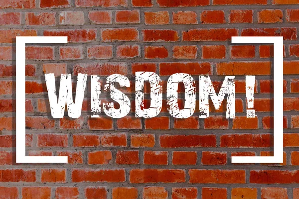 Handwriting text Wisdom. Concept meaning quality having experience knowledge and good judgement something Brick Wall art like Graffiti motivational call written on the wall. — Stock Photo, Image