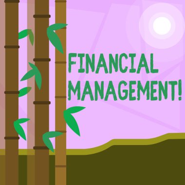 Word writing text Financial Management. Business concept for controlling and monitoring financial resources Colorful Sets of Leafy Bamboo on Left Side and Moon or Sun with Round Beam.