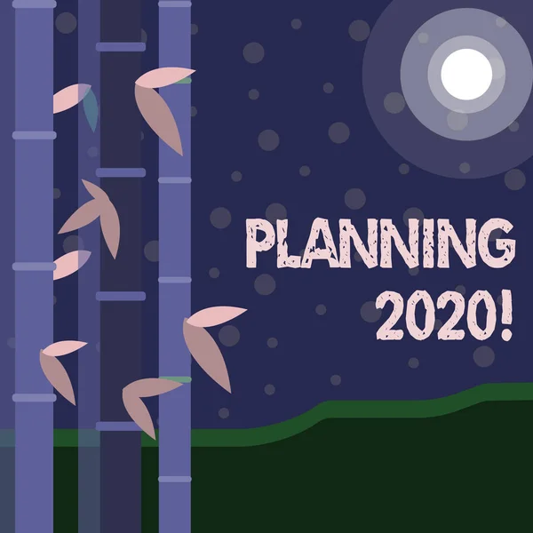 การวางแผนการเขียนข้อความด้วยลายมือ 2020 กระบวนการความหมายของแนวคิดในการวางแผนสําหรับบางสิ่งบางอย่างในปีหน้า ชุดไม้ไผ่ใบสีสันสดใสที่ด้านซ้ายและดวงจันทร์หรือดวงอาทิตย์ที่มีแสงกลม . — ภาพถ่ายสต็อก