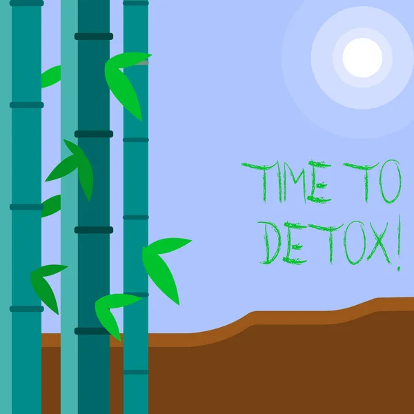 Texto de escrita de palavras Time To Detox. Conceito de negócio para quando você purificar seu corpo de toxinas ou parar de consumir drogas Conjuntos coloridos de bambu folheado no lado esquerdo e lua ou sol com feixe redondo . — Fotografia de Stock