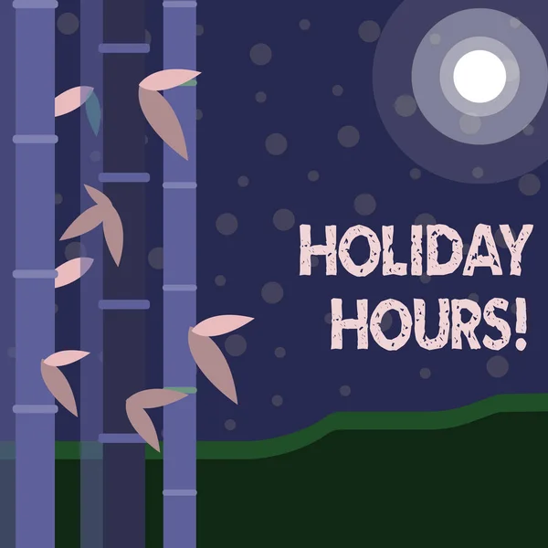 Handwriting text Holiday Hours. Concept meaning Overtime work on for employees under flexible work schedules Colorful Sets of Leafy Bamboo on Left Side and Moon or Sun with Round Beam.