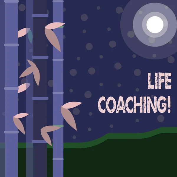 Handgeschreven tekst Life coaching. Concept dat aantoont dat ze worden gebruikt om te helpen tonen hun doelen te bereiken in carrière kleurrijke sets van groene bamboe op de linker kant en maan of zon met ronde balk. — Stockfoto