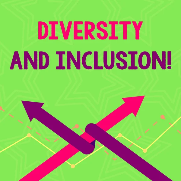 Text sign showing Diversity And Inclusion. Conceptual photo range huanalysis difference includes race ethnicity gender Two Arrows where One is Intertwined to the other as Team Up or Competition.
