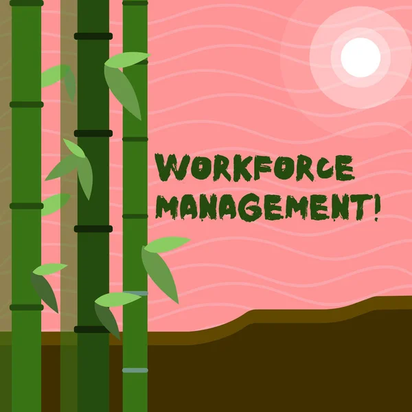 Tekst teken dat Workforce Management weergeeft. Conceptuele foto gebruik om de productiviteit van zijn werknemers te optimaliseren kleurrijke sets van groene bamboe aan de linker kant en maan of zon met ronde balk. — Stockfoto