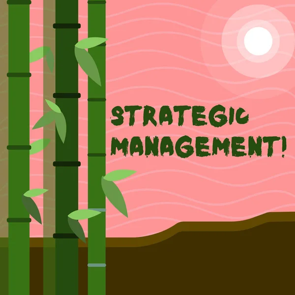 Textový znak zobrazující strategické řízení. Konceptuální složení a realizace hlavních cílů barevné sady listového bambusu na levé straně a na měsíci nebo na slunci s kulatým paprskem. — Stock fotografie
