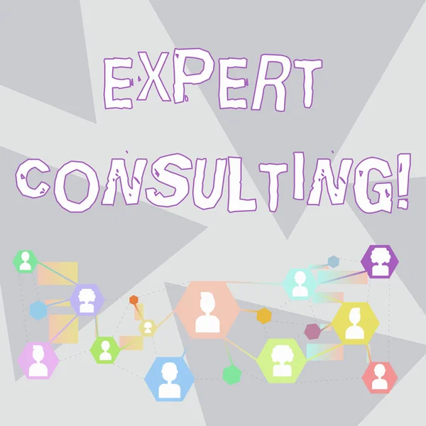 Ordskrivning text Expert Consulting. Affärsidé för tillhandahållande av expertkunskap till tredje part mot en avgift Chatt Head Ikoner online med Avatar och Connecting Lines for Networking Idé. — Stockfoto