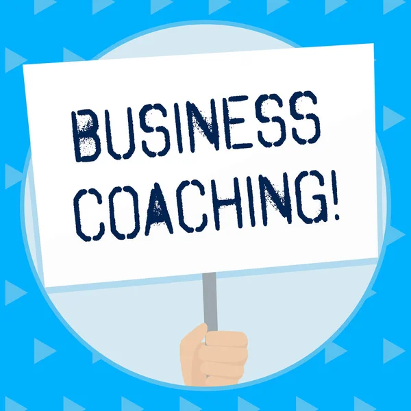 Slovo psaní textu Business Coaching. Podnikatelský koncept pro poskytování podpory a příležitostného poradenství jednotlivci Ruční držení prázdné bílé plakáty Podporované rukojetí pro sociální uvědomění. — Stock fotografie