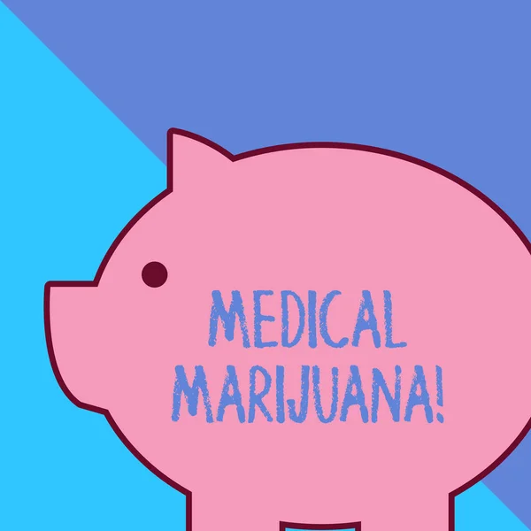 Word writing text Medical Marijuana. Business concept for recommended by examining as treatment of a medical condition. — 스톡 사진