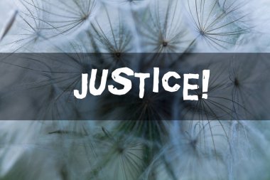 Adaleti gösteren bir not yazıyorum. Çelişkili iddiaların ya da görevlerin tarafsız şekilde ayarlanmasını gösteren iş fotoğrafı.