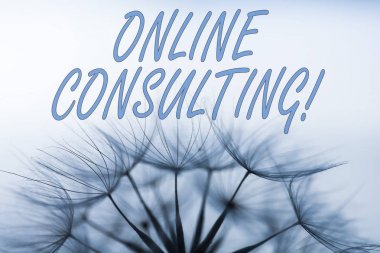 El yazısı metin yazma Online Danışmanlık. Kavram anlamı internet üzerinden bir gösteri bilgi veya tavsiye almak.