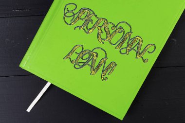 Kişisel Kredi gösteren kavramsal el yazısı. Bir finans şirketinden bireyler tarafından alınan teminatsız kredi vitrine İş fotoğraf.