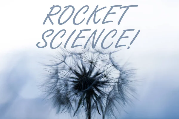 Pisanie tekstu Rocket Science. Koncepcja biznesowa trudnej działalności, że trzeba być inteligentnym, aby zrobić. — Zdjęcie stockowe