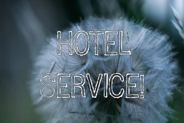 Texto de escritura de palabras Hotel Service. Concepto de negocio para proporcionar a los huéspedes un alojamiento cálido y otros servicios . —  Fotos de Stock