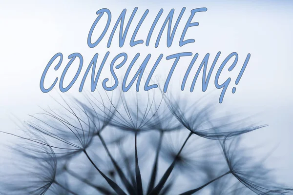 El yazısı metin yazma Online Danışmanlık. Kavram anlamı internet üzerinden bir gösteri bilgi veya tavsiye almak.