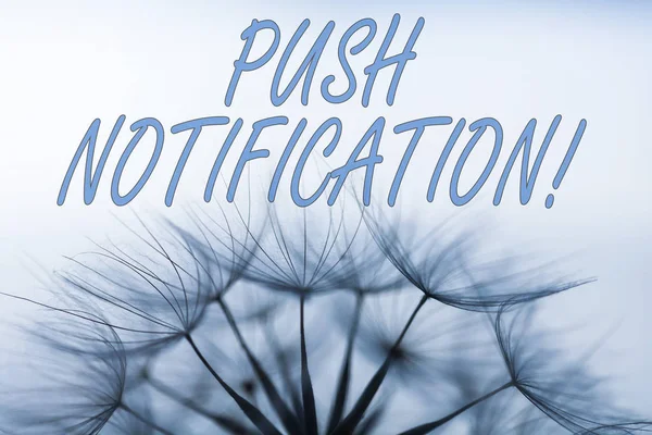 İtme Bildirimi el yazısı. Bir kullanıcıya bir uygulama tarafından gönderilen otomatik iletiyi kavra.