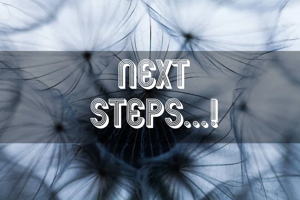 Text sign showing Next Steps. Conceptual photo something you do after you have finished doing first one.
