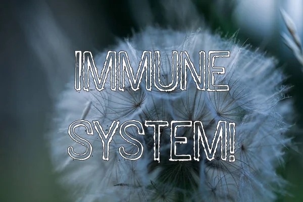 Word writing text Immune System. Business concept for host defense system comprising analysisy biological structures. — 스톡 사진