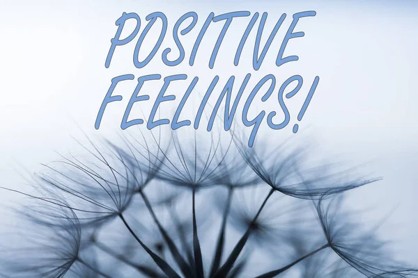 Handskrifts text skriver positiva känslor. Begrepp som betyder någon känsla där det finns en brist på negativitet eller sorg. — Stockfoto
