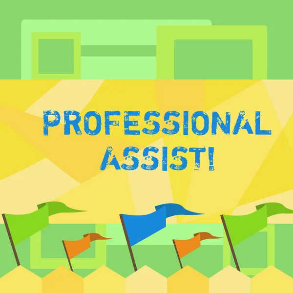 Почерк написания текста Professional Assist. Концепция, означающая помощь профессионалу в выполнении каких-либо экспертных задач или обязанностей Blank Colorful Pennant Streamer Flag on Stick Mounted on Picket Fence . — стоковое фото