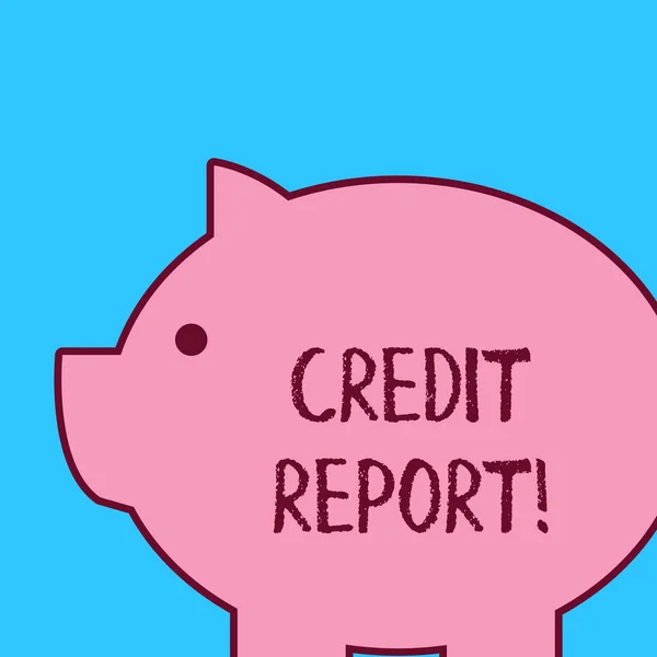 Håndskrift tekst Kredit Rapport. Koncept betyder, at det er den detaljerede rapport af en individuel s er kredit historie . - Stock-foto