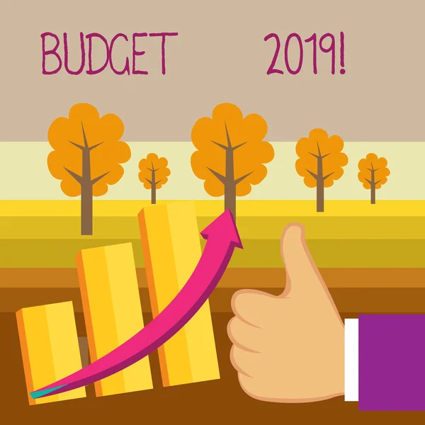 Escrita de mão conceitual mostrando Orçamento 2019. Estimativa de texto de foto de negócios de receitas e despesas para o ano em curso . — Fotografia de Stock