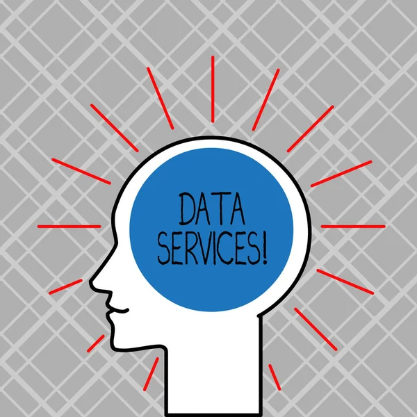 Texto para escrita de palavras Data Services. Conceito de negócio para serviços de terceiros que ajudam a analisar dados para clientes . — Fotografia de Stock