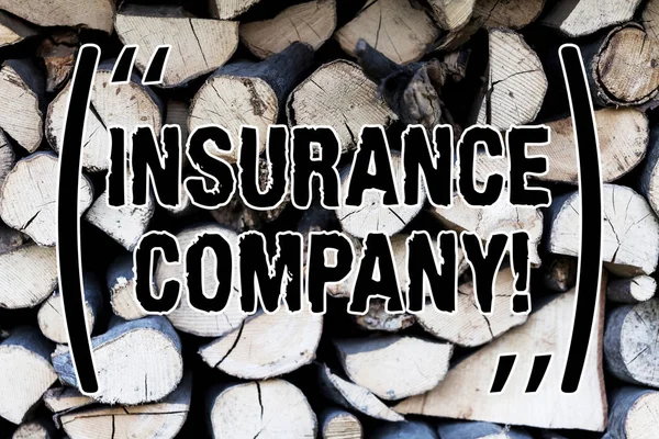 Handwriting text Insurance Company. Concept meaning company that offers insurance policies to the public Background dry chopped firewood logs stacked up in a pile winter chimney.