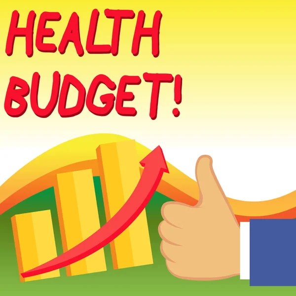 Text sign showing Health Budget. Conceptual photo amount of money to support your health and wellbeing needs Thumb Up Good Performance Success Escalating Bar Graph Ascending Arrow. — Stock Photo, Image