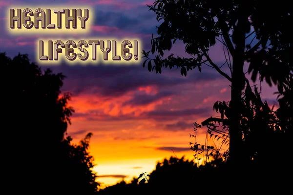 Word writing text Healthy Lifestyle. Business concept for way of living that lowers the risk of being seriously ill Beautiful sunset sunrise through fresh forest nature wood. Sunlight morning. — Stock Photo, Image