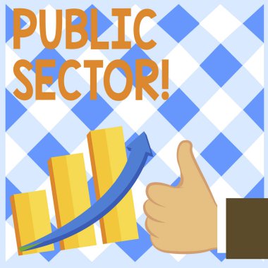 Conceptual hand writing showing Public Sector. Business photo text the part of an economy that is controlled by the state Thumb Up Good Performance Success Escalating Bar Graph Arrow.