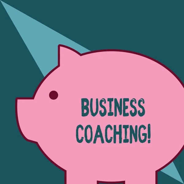 Texto de escritura de palabras Business Coaching. Concepto de negocio para ayudar a los empleados a ser más activos Consultar a un experto Grasa enorme cerdo rosado regordeta como alcancía con oreja afilada y ojo redondo pequeño . — Foto de Stock