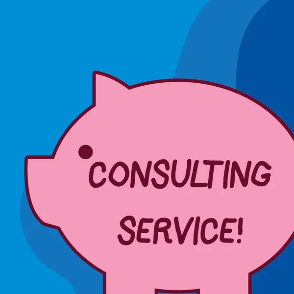 Conceptual hand writing showing Consulting Service. Business photo text Experts that offers knowledge to a third party for a fee Fat huge pink pig plump like piggy bank with ear and small eye.