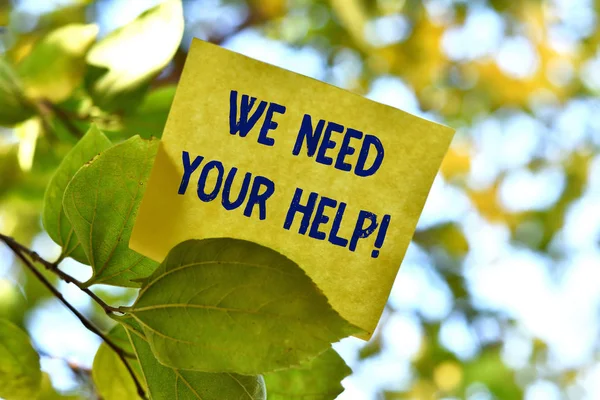 Word writing text We Need Your Help. Business concept for asking someone to stand with you against difficulty Piece of square paper use to give notation on tree leaf under sunny day. — Stock Photo, Image