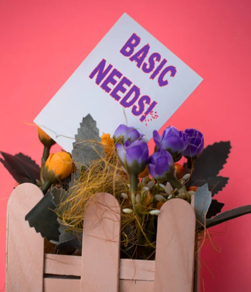 Texto para escrita de palavras Necessidades básicas. Conceito de negócio para medição da pobreza absoluta em países em desenvolvimento Papel simples vazio entre arranjo de flores com vaso de palitos de sorvete . — Fotografia de Stock