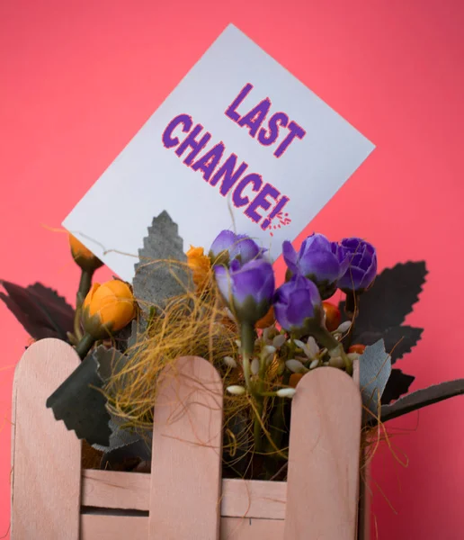 Palavra escrita texto Última chance. Conceito de negócio para a oportunidade final de alcançar ou adquirir algo que você deseja Papel simples vazio entre arranjo de flores com vaso de palitos de sorvete . — Fotografia de Stock