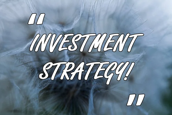 Conceptual hand writing showing Investment Strategy. Business photo text Set of Rules Procedures Behavior a Guide to an Investor Close up abstract dandelion seeds background Blowing away.