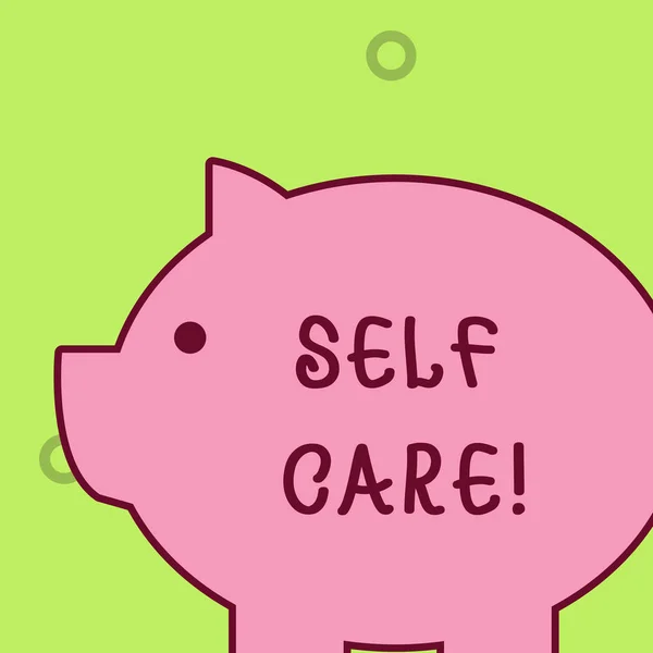 Handwriting text writing Self Care. Concept meaning practice of taking action preserve or improve ones own health Fat huge pink pig plump like piggy bank with sharp ear and small round eye. — Stock Photo, Image