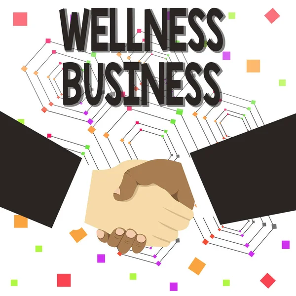 Znak tekstowy pokazujący Wellness biznes. Koncepcyjny zdjęcie profesjonalne przedsięwzięcie koncentrując się na zdrowiu umysłu i ciała ręka Shake wielorasowe męskie partnerzy biznesowi koledzy formalne czarne garnitury. — Zdjęcie stockowe