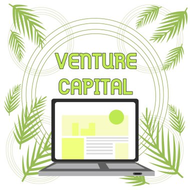 El yazısı metin Girişim Sermayesi. Kavram anlamı finansman firmalar tarafından sağlanan küçük erken aşama olanlar open modern laptop Ekran Web Arama Web Sitesi Ana Sayfası ile Açık.