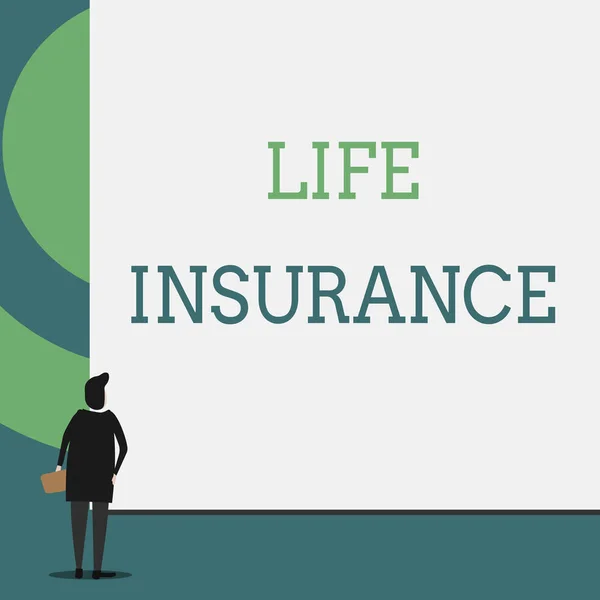 Text sign showing Life Insurance. Conceptual photo Payment of death benefit or injury Burial or medical claim Back view young woman watching blank big rectangle. Geometrical background. — Stockfoto
