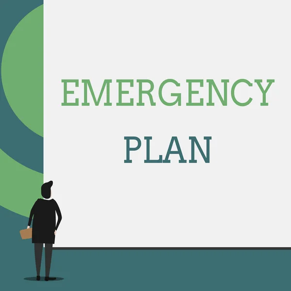 Text sign showing Emergency Plan. Conceptual photo Procedures for response to major emergencies Be prepared Back view young woman watching blank big rectangle. Geometrical background.