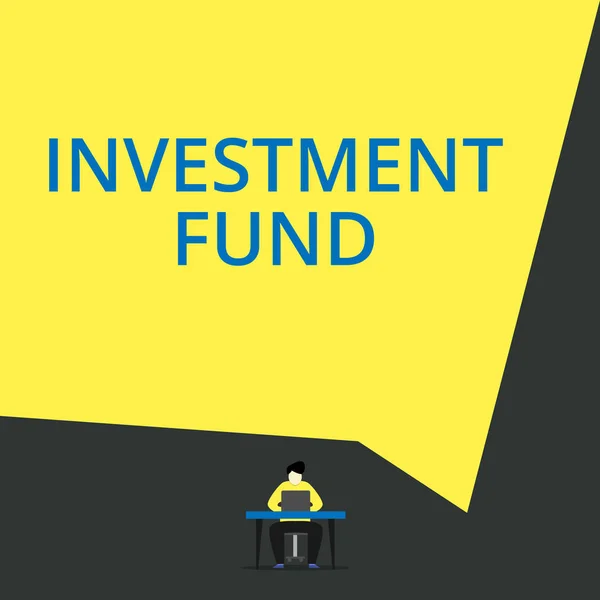 Handwriting text Investment Fund. Concept meaning A supply of capital belonging to numerous investors View young man sitting chair desk working open laptop geometric background.