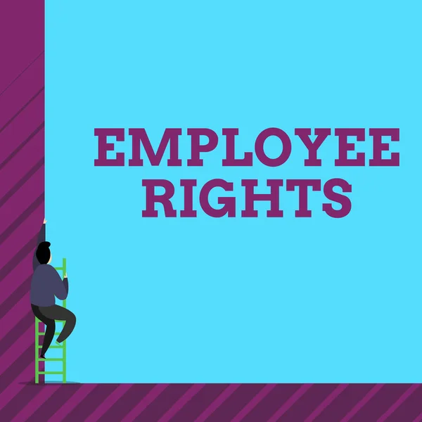 Tekst teken waarop werknemersrechten worden weergegeven. Conceptuele foto alle medewerkers hebben basisrechten op hun eigen werkplek een mannelijke menselijke persoon klimmen de hoge hoge muur gebruik korte ladder trap. — Stockfoto
