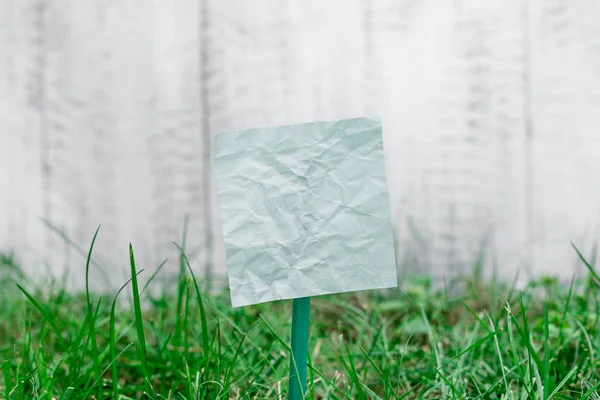 Plain paper cardboard attached to a stick and plugged in the grassy land. Blue empty sheet is placed in ground with green grass. Photography idea with small object