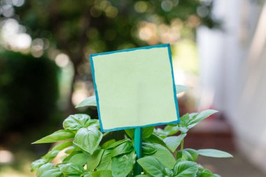 Düz kağıt karton bir sopa bağlı ve yapraklı bitkiler takılı. Yeşil boş levha yeşil otlar yaprakları yerleştirilir. Küçük nesne ile fotoğraf fikri