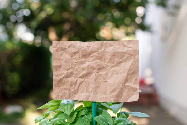 Plain paper cardboard attached to a stick and plugged in the leafy plants. Brown empty sheet is placed in the leaves of greeny herbs. Photography idea with small object