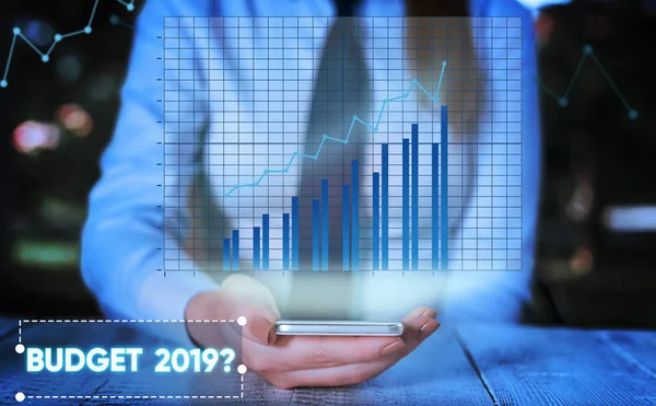 Écriture conceptuelle montrant la question du budget de 2019. Photo d'affaires montrant l'estimation des recettes et des dépenses pour l'année prochaine . — Photo